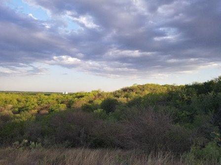 Pearsall Disc Golf Course