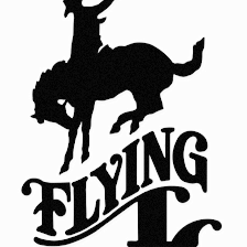 Flying L Golf Course