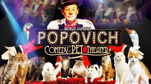 World Famous Popovich – Comedy Pet Theater